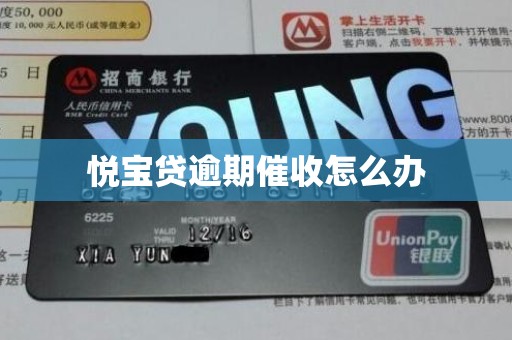 悦宝贷逾期催收怎么办