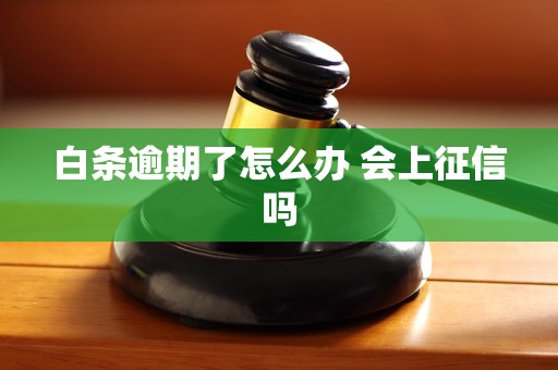 白条逾期了怎么办 会上征信吗