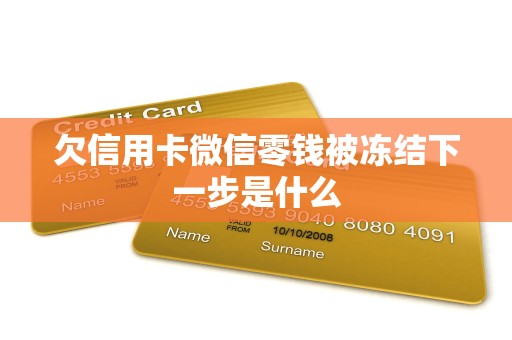 欠信用卡微信零钱被冻结下一步是什么