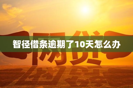 智径借条逾期了10天怎么办