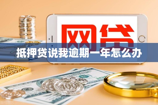 抵押贷说我逾期一年怎么办