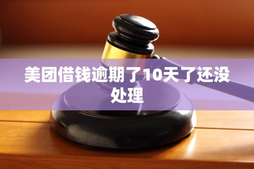 美团借钱逾期了10天了还没处理 美团借钱逾期了10天了还没处理