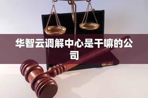 华智云调解中心是干嘛的公司