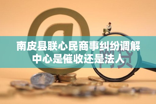 南皮县联心民商事纠纷调解中心是催收还是法人