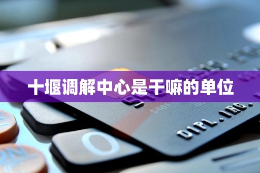 十堰调解中心是干嘛的单位 十堰调解中心是干嘛的单位