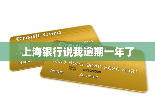 上海银行说我逾期一年了 上海银行说我逾期一年了
