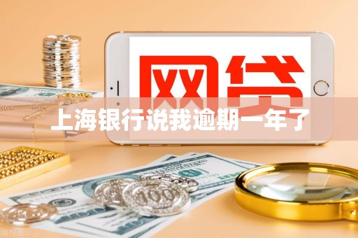 上海银行说我逾期一年了 上海银行说我逾期一年了