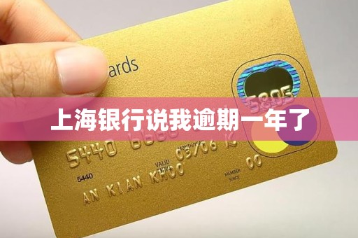 上海银行说我逾期一年了 上海银行说我逾期一年了