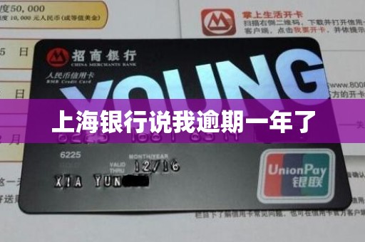 上海银行说我逾期一年了 上海银行说我逾期一年了