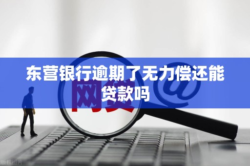 东营银行逾期了无力偿还能贷款吗 东营银行逾期了无力偿还能贷款吗