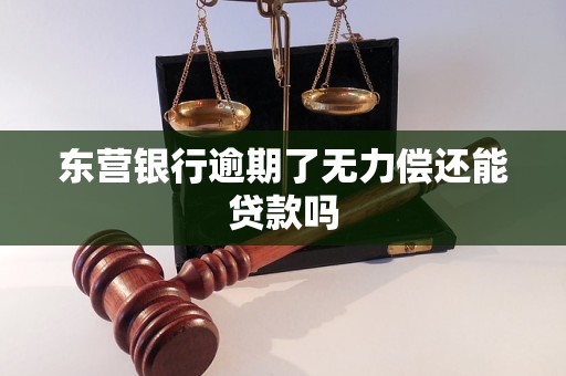 东营银行逾期了无力偿还能贷款吗 东营银行逾期了无力偿还能贷款吗