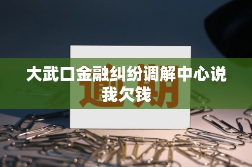大武口金融纠纷调解中心说我欠钱