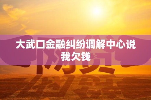大武口金融纠纷调解中心说我欠钱