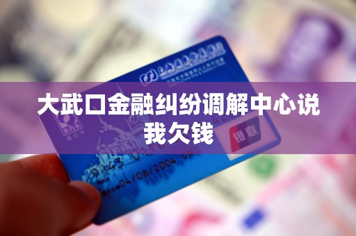 大武口金融纠纷调解中心说我欠钱