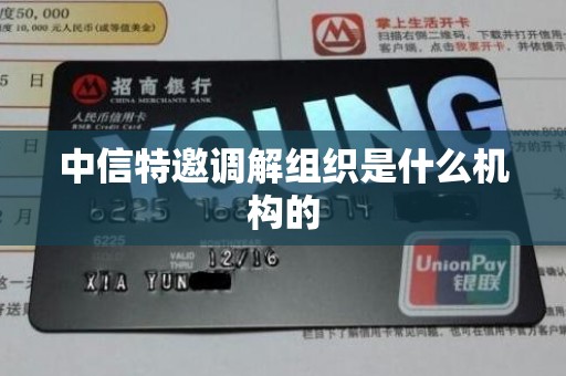 中信特邀调解组织是什么机构的