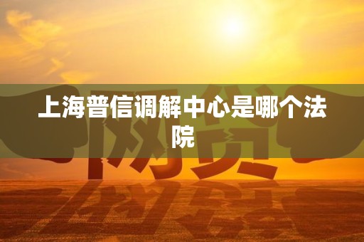 上海普信调解中心是哪个法院