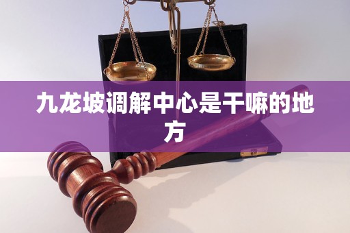 九龙坡调解中心是干嘛的地方