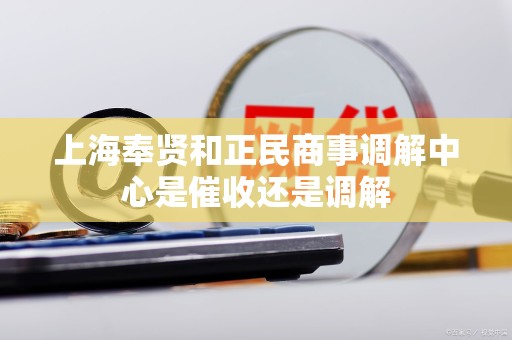 上海奉贤和正民商事调解中心是催收还是调解 上海奉贤和正民商事调解中心是催收还是调解