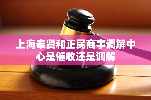 上海奉贤和正民商事调解中心是催收还是调解 上海奉贤和正民商事调解中心是催收还是调解