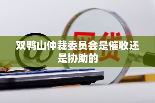 双鸭山仲裁委员会是催收还是协助的 双鸭山仲裁委员会是催收还是协助的