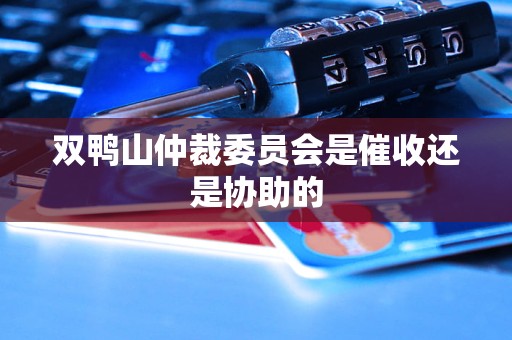 双鸭山仲裁委员会是催收还是协助的 双鸭山仲裁委员会是催收还是协助的