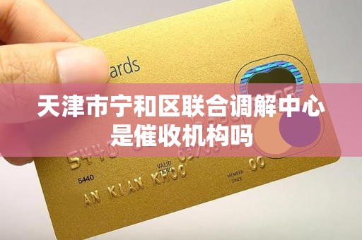 天津市宁和区联合调解中心是催收机构吗