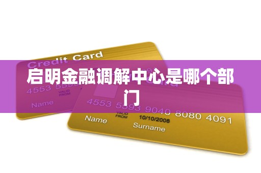 启明金融调解中心是哪个部门