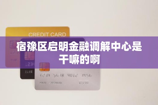 宿豫区启明金融调解中心是干嘛的啊 宿豫区启明金融调解中心是干嘛的啊
