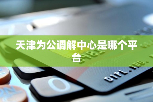 天津为公调解中心是哪个平台