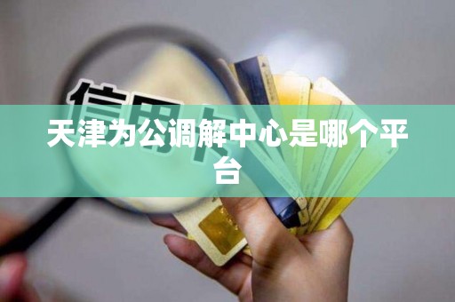 天津为公调解中心是哪个平台