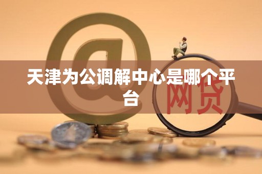天津为公调解中心是哪个平台