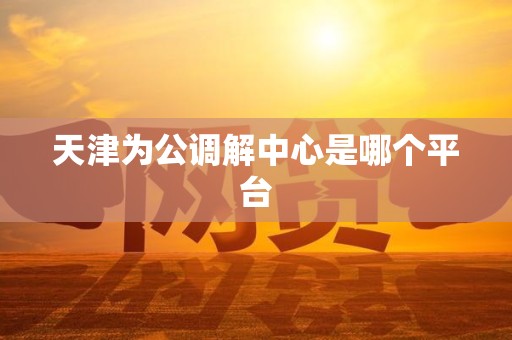 天津为公调解中心是哪个平台