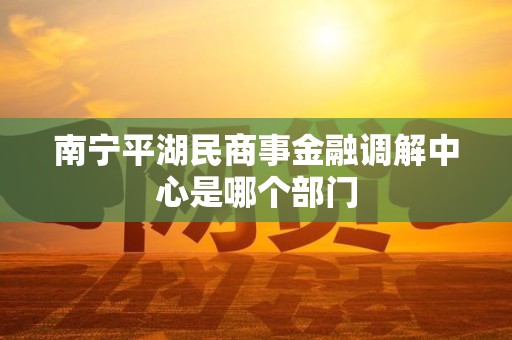 南宁平湖民商事金融调解中心是哪个部门
