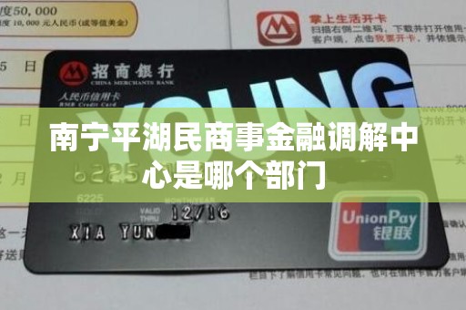 南宁平湖民商事金融调解中心是哪个部门