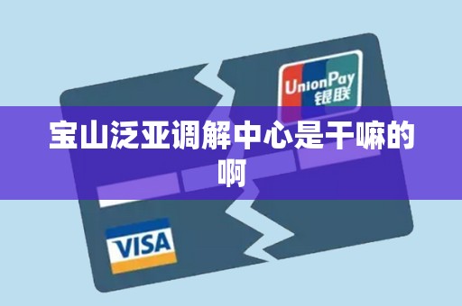 宝山泛亚调解中心是干嘛的啊