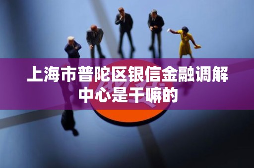 上海市普陀区银信金融调解中心是干嘛的