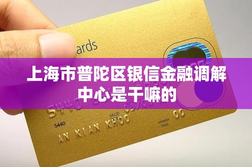 上海市普陀区银信金融调解中心是干嘛的