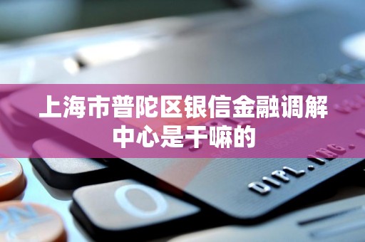 上海市普陀区银信金融调解中心是干嘛的