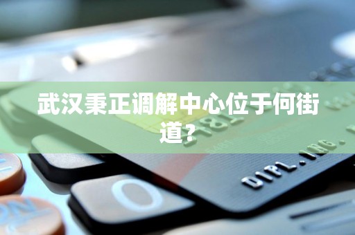 武汉秉正调解中心位于何街道？