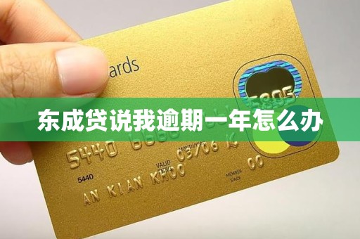 东成贷说我逾期一年怎么办