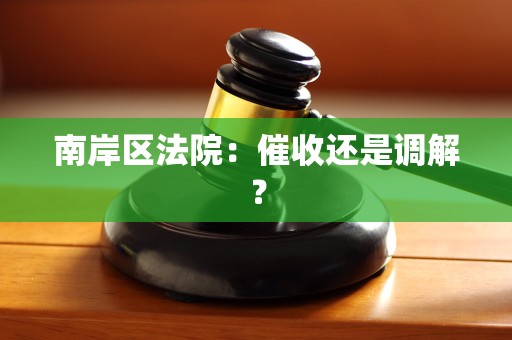 南岸区法院:催收还是调解? 南岸区法院:催收还是调解?