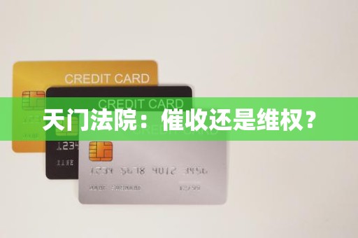 天门法院:催收还是维权? 天门法院:催收还是维权?