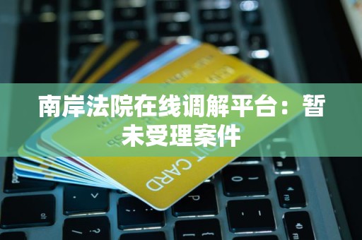 南岸法院在线调解平台：暂未受理案件
