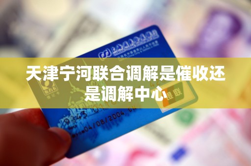 天津宁河联合调解是催收还是调解中心