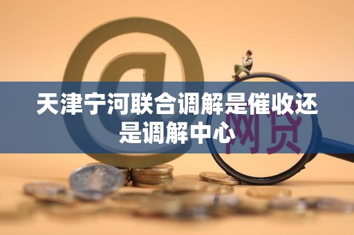 天津宁河联合调解是催收还是调解中心 天津宁河联合调解是催收还是调解中心