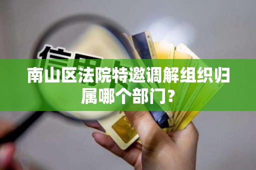 南山区法院特邀调解组织归属哪个部门？