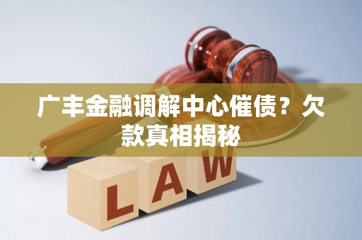 广丰金融调解中心催债？欠款真相揭秘