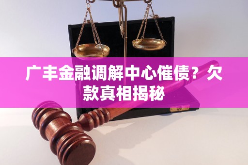 广丰金融调解中心催债？欠款真相揭秘