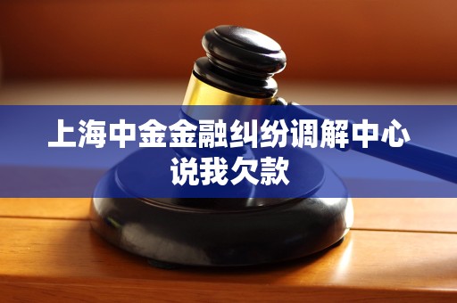 上海中金金融纠纷调解中心说我欠款