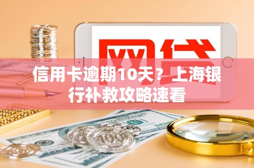信用卡逾期10天？上海银行补救攻略速看